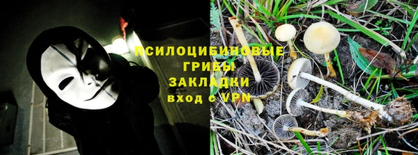 соль курить ск Богородицк