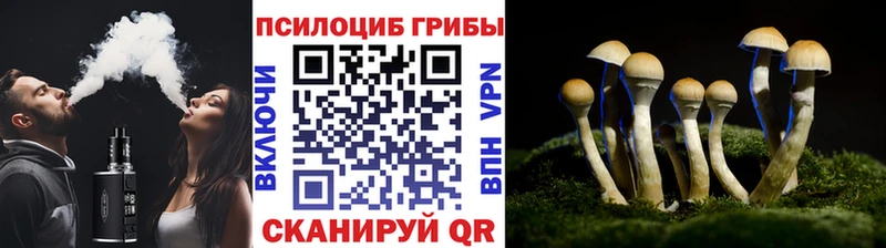 Псилоцибиновые грибы GOLDEN TEACHER  Купить  Бежецк 